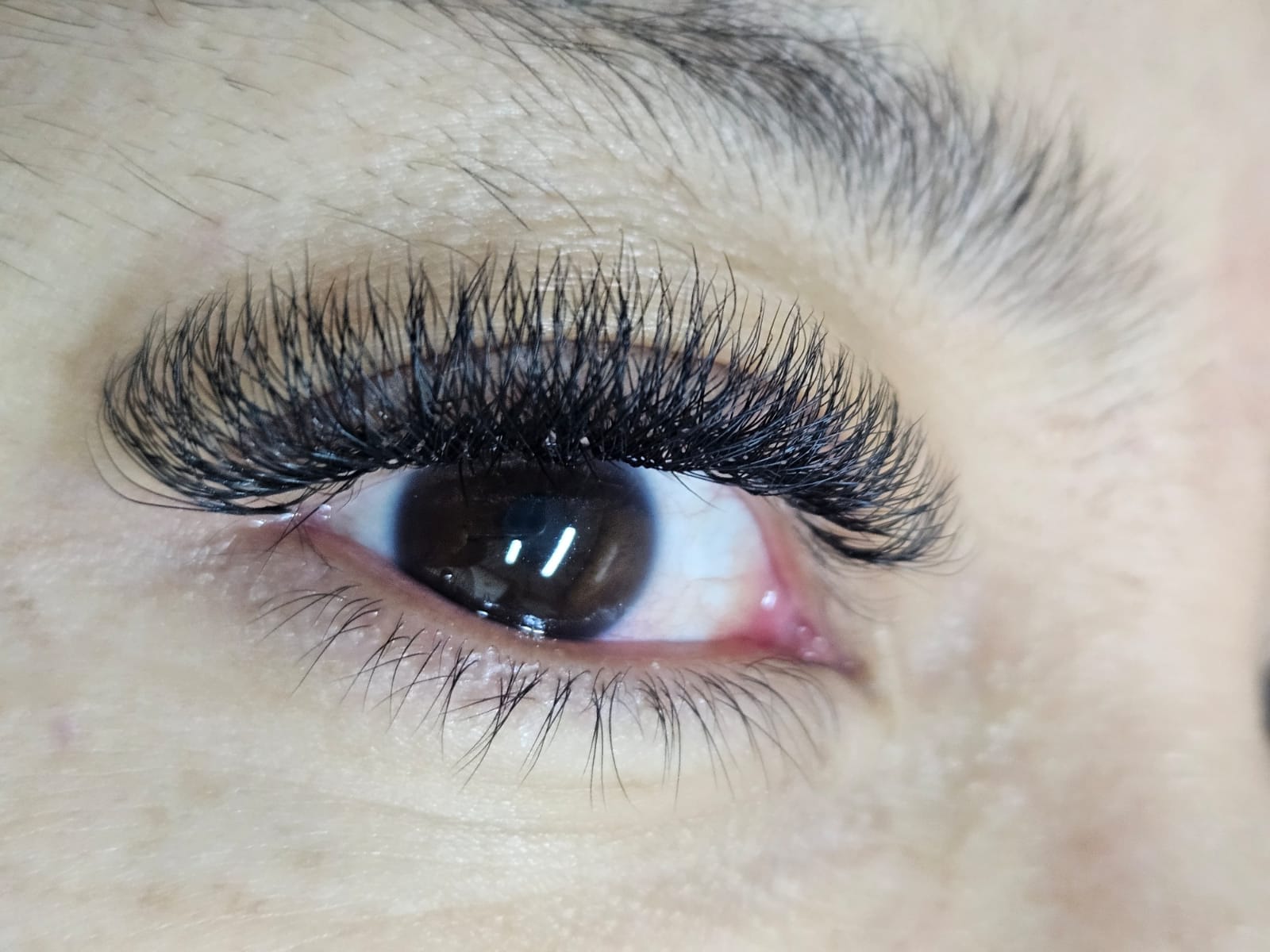 Resultado extensiones pestañas ICABEH